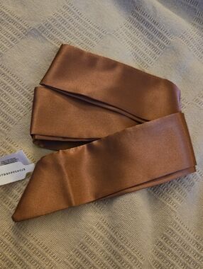 Anthropologie Satin Tie in Copper